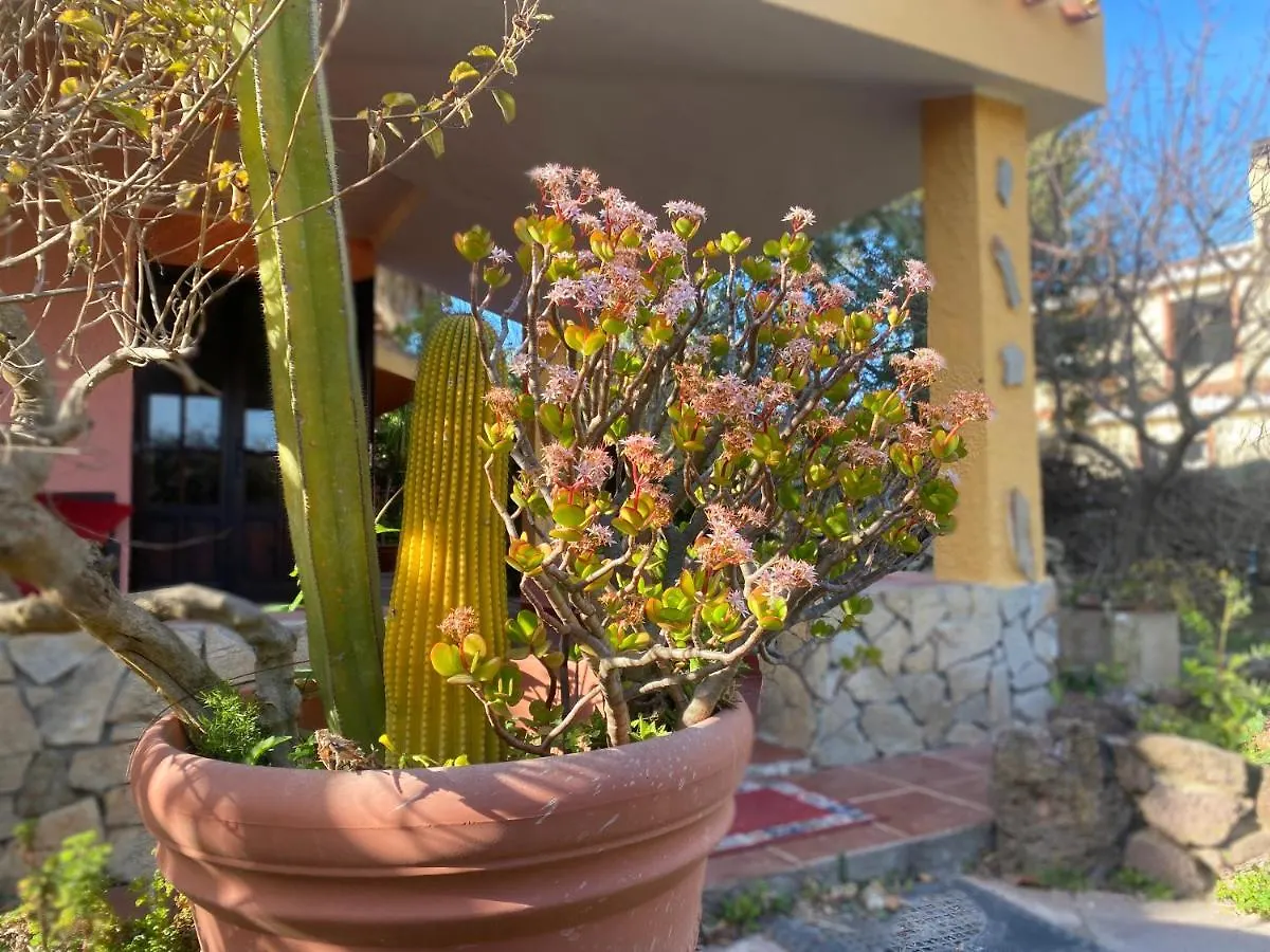 Lovely Home 5 Min Walk To The Beach, 3 Bedrooms Ample Outdoor Relax And Wifi كابيتانا